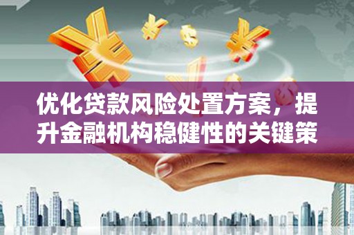 洛南优化贷款风险处置方案，提升金融机构稳健性的关键策略