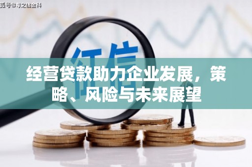 洛南经营贷款助力企业发展，策略、风险与未来展望