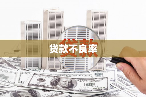 洛南贷款不良率