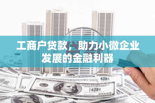 洛南工商户贷款，助力小微企业发展的金融利器