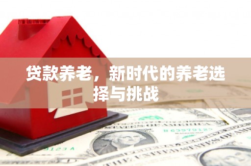 洛南贷款养老，新时代的养老选择与挑战