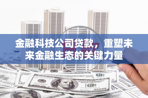 洛南金融科技公司贷款，重塑未来金融生态的关键力量