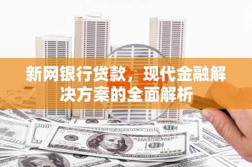 洛南新网银行贷款，现代金融解决方案的全面解析