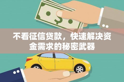 洛南不看征信贷款，快速解决资金需求的秘密武器