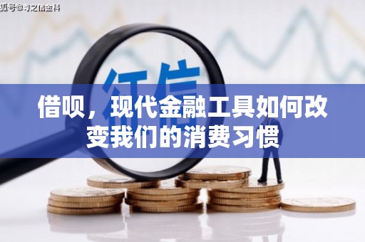 洛南借呗，现代金融工具如何改变我们的消费习惯