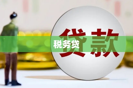 洛南税务贷