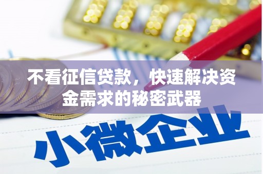 洛南不看征信贷款，快速解决资金需求的秘密武器