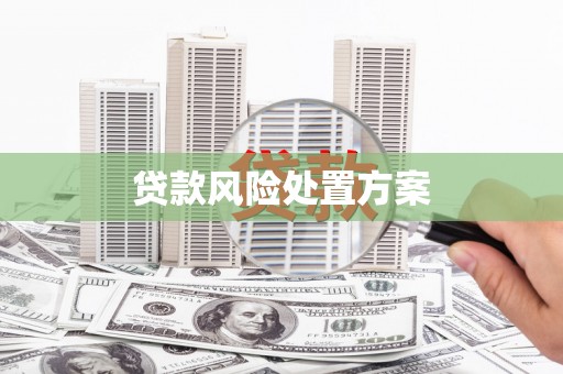 洛南贷款风险处置方案