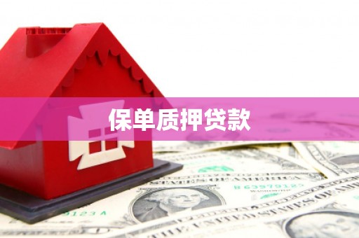 洛南保单质押贷款