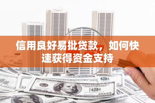 洛南信用良好易批贷款，如何快速获得资金支持