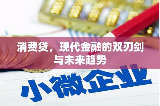 洛南消费贷，现代金融的双刃剑与未来趋势