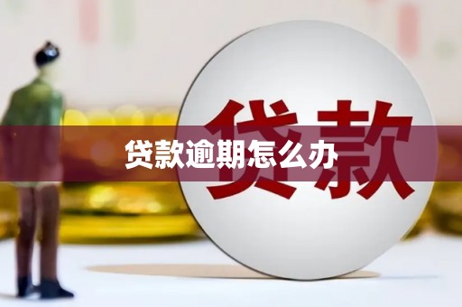 洛南贷款逾期怎么办