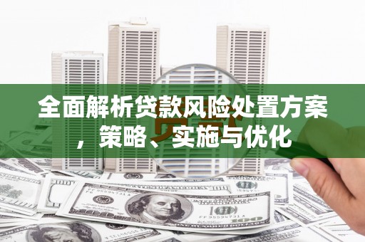 洛南全面解析贷款风险处置方案，策略、实施与优化