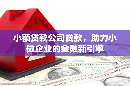 洛南小额贷款公司贷款，助力小微企业的金融新引擎