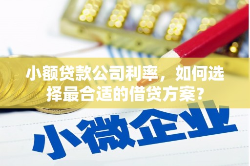 洛南小额贷款公司利率，如何选择最合适的借贷方案？