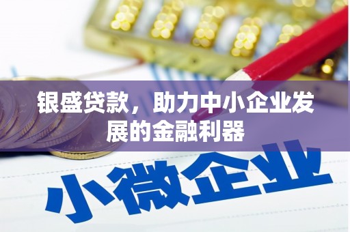 洛南银盛贷款，助力中小企业发展的金融利器