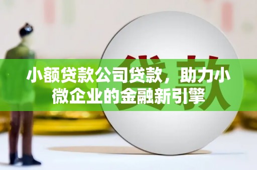 洛南小额贷款公司贷款，助力小微企业的金融新引擎