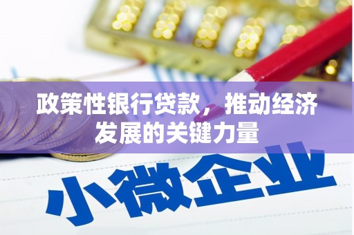 洛南政策性银行贷款，推动经济发展的关键力量