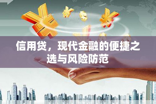 洛南信用贷，现代金融的便捷之选与风险防范