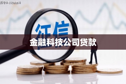 洛南金融科技公司贷款