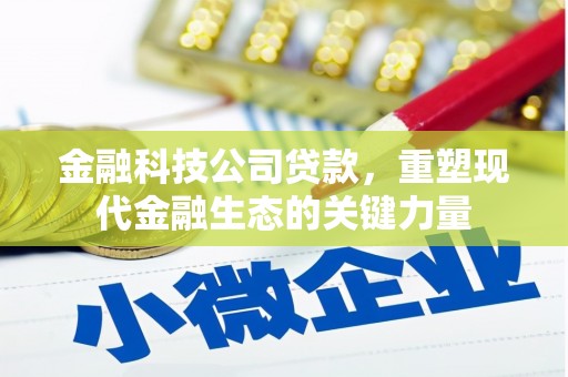 洛南金融科技公司贷款，重塑现代金融生态的关键力量