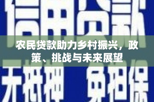 洛南农民贷款助力乡村振兴，政策、挑战与未来展望