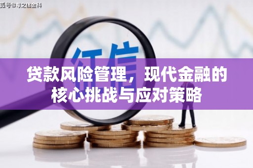 洛南贷款风险管理，现代金融的核心挑战与应对策略