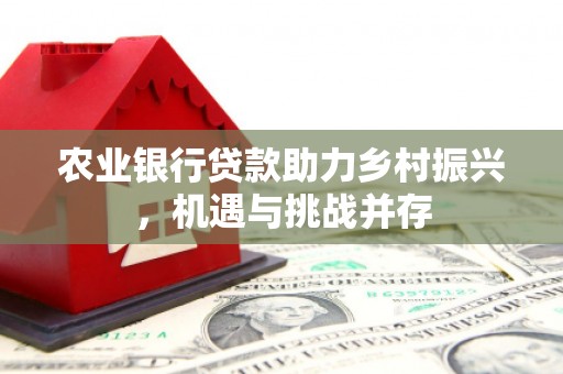 洛南农业银行贷款助力乡村振兴，机遇与挑战并存