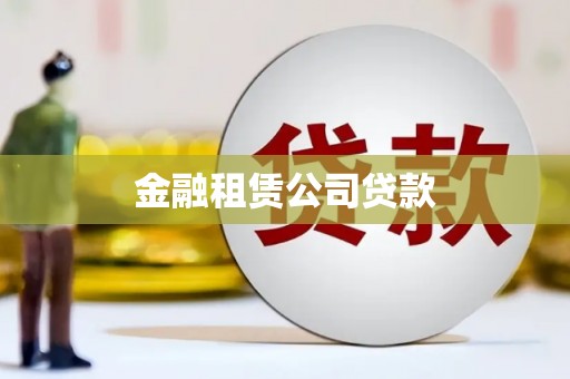 洛南金融租赁公司贷款