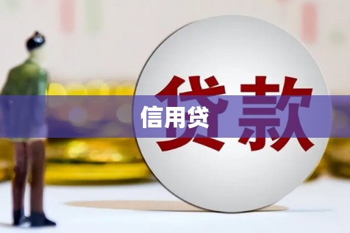 洛南信用贷