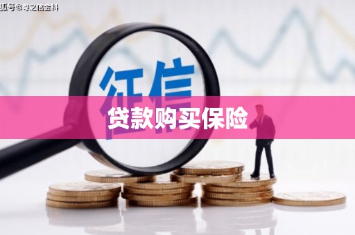洛南贷款购买保险