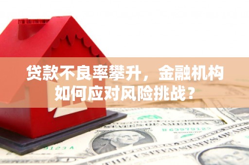 洛南贷款不良率攀升，金融机构如何应对风险挑战？