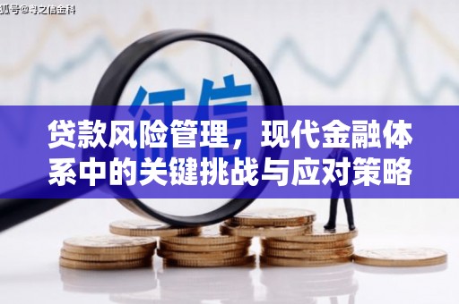 洛南贷款风险管理，现代金融体系中的关键挑战与应对策略