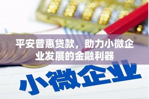 洛南平安普惠贷款，助力小微企业发展的金融利器