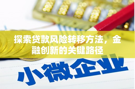 洛南探索贷款风险转移方法，金融创新的关键路径
