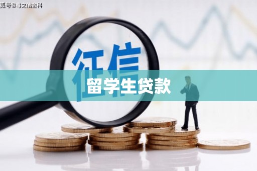 洛南留学生贷款