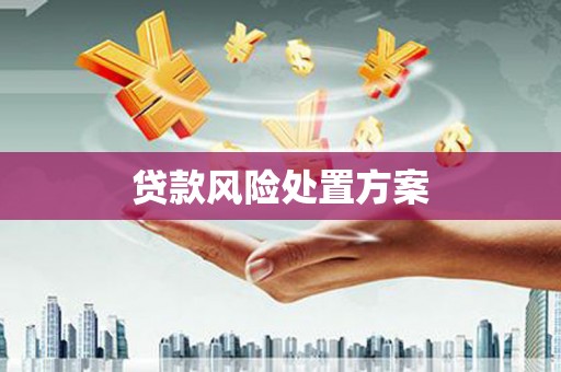 洛南贷款风险处置方案