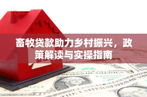 洛南畜牧贷款助力乡村振兴，政策解读与实操指南