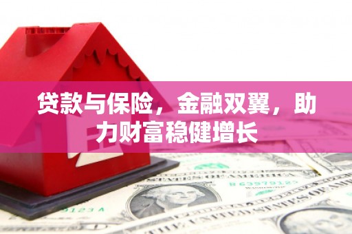 洛南贷款与保险，金融双翼，助力财富稳健增长